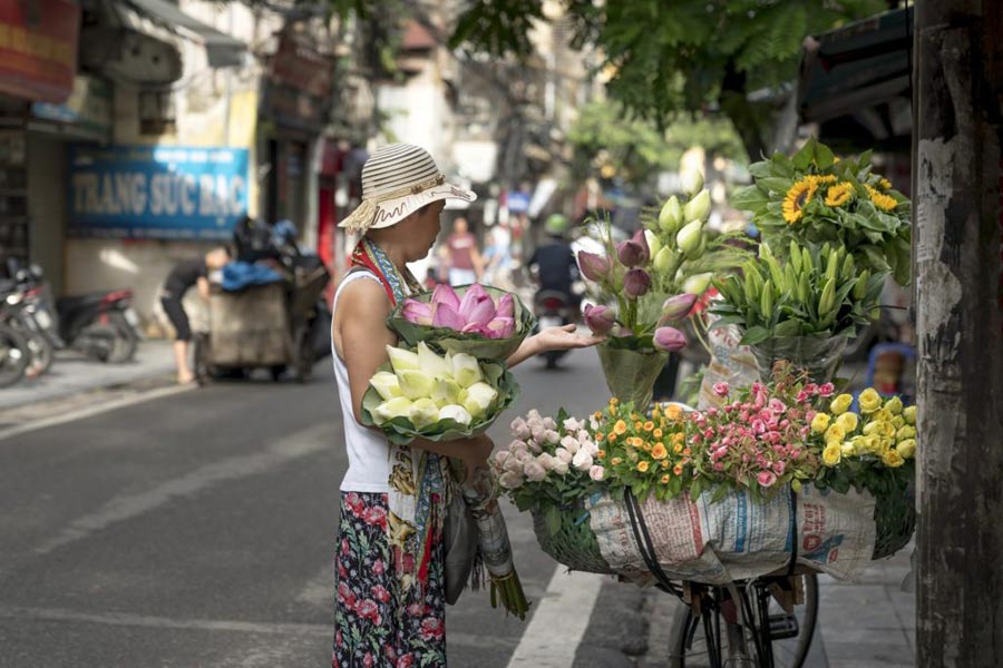 Seasons of Hanoi