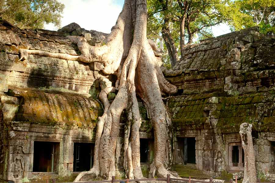 vietnam and cambodia tours