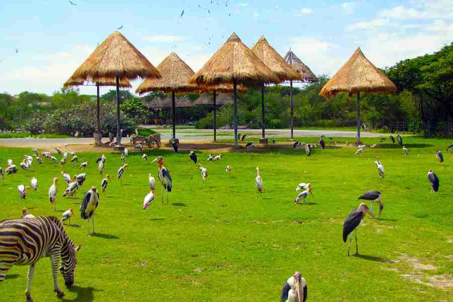 thailand vietnam cambodia itinerary 6 weeks