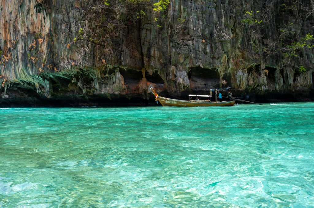 pexels lu zhao 145486608 16840023