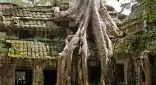 Cambodia Angkor (5)