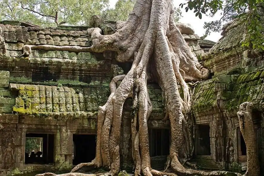 Cambodia Angkor 5