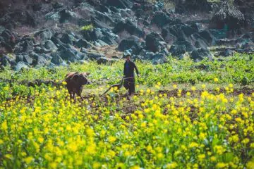 Far North Vietnam Adventure