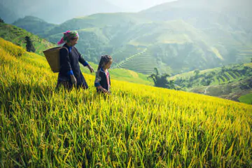 Northwest Vietnam Adventure