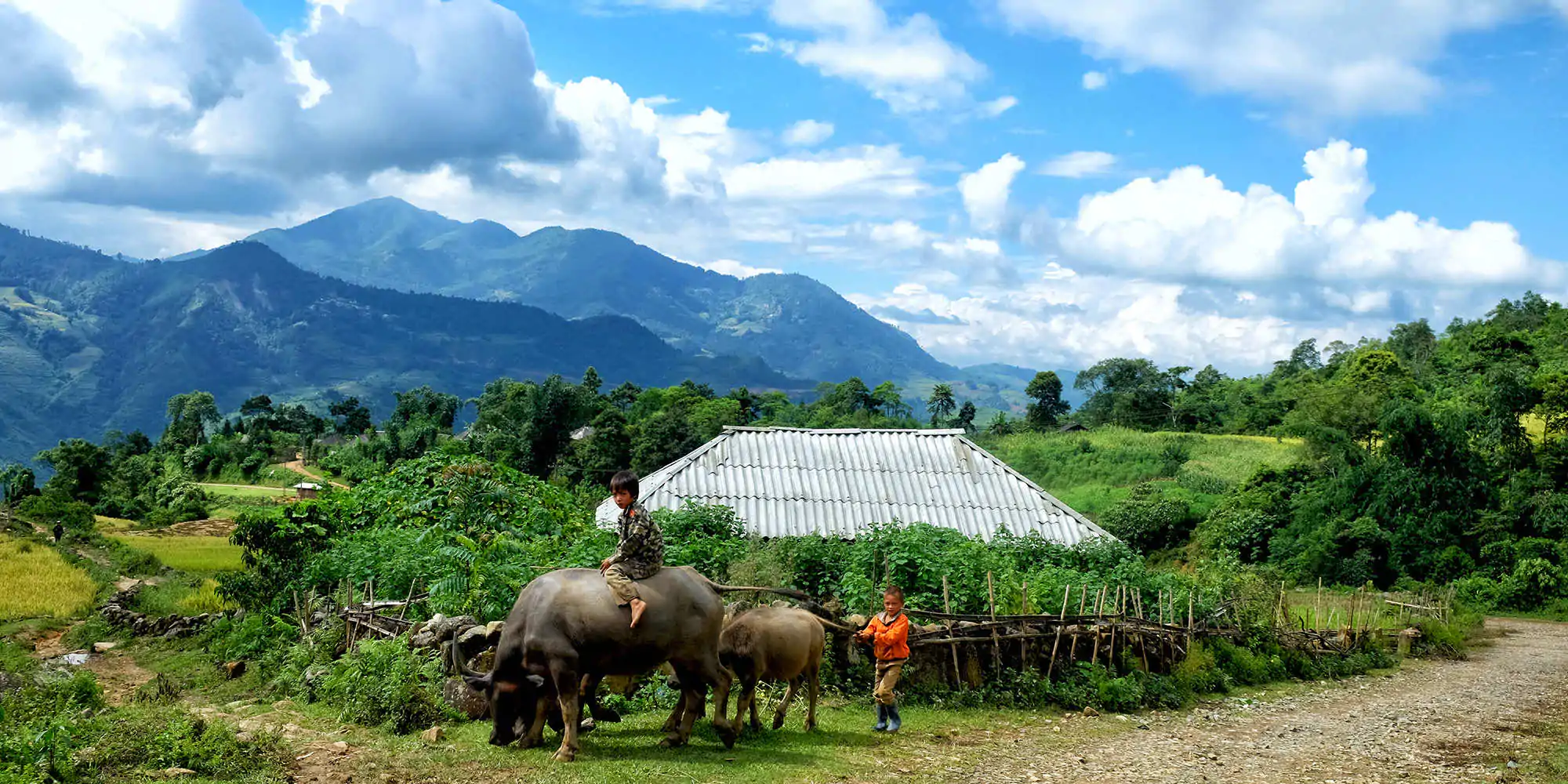 SAPA CHIDREN BUFFALO
