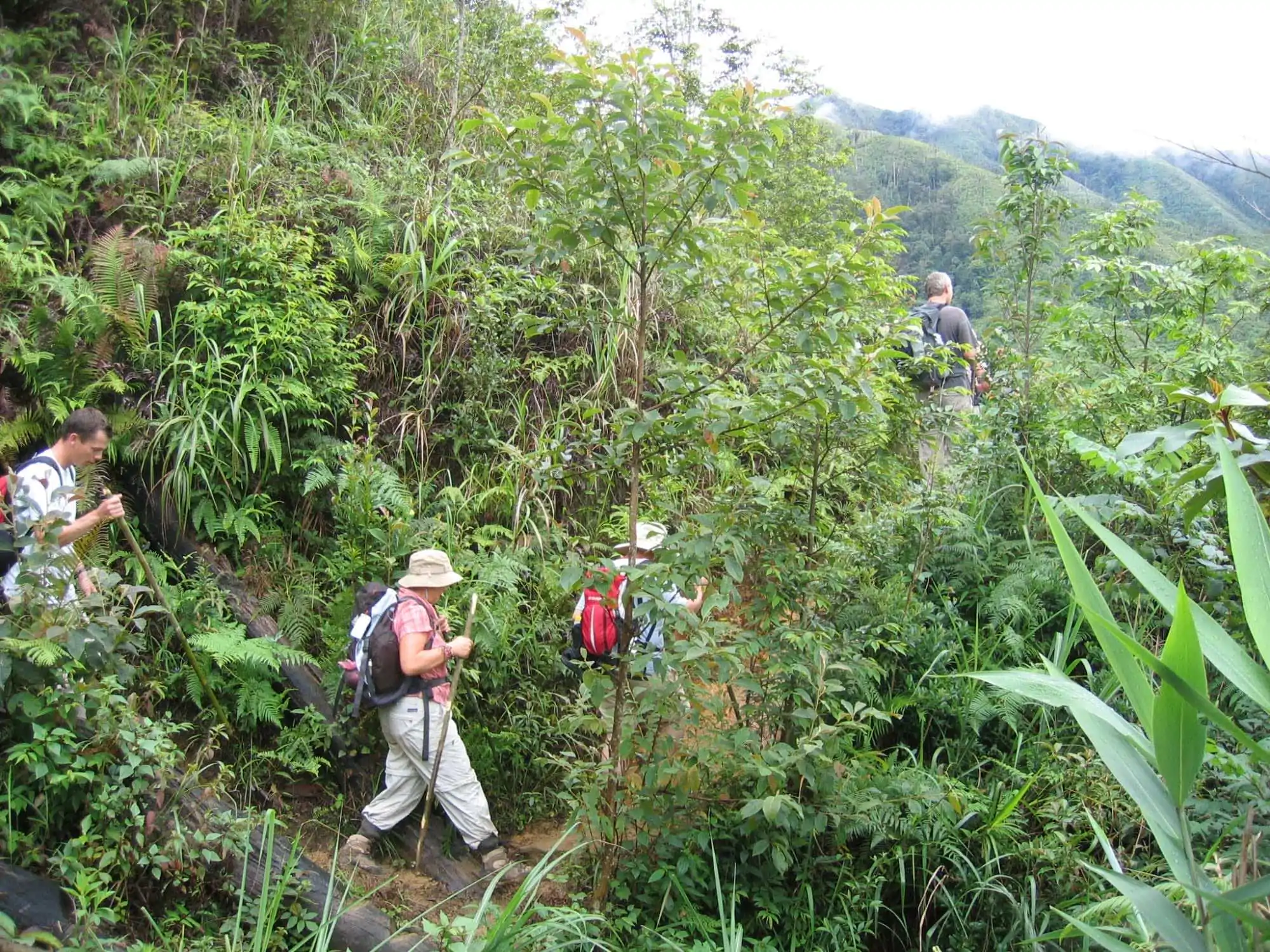 Seomiti Ban Ho 2