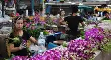 bangkok flower market (2)