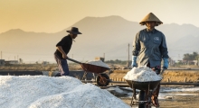 Farmers in the salt field