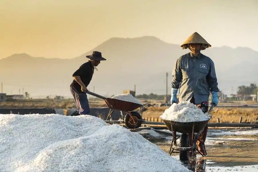 Farmers in the salt field