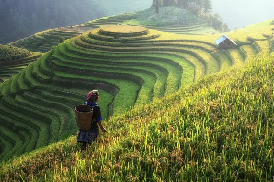 Vietnam and Cambodia Itinerary 3 Weeks