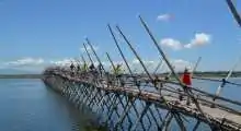 cycling bamboo bridge