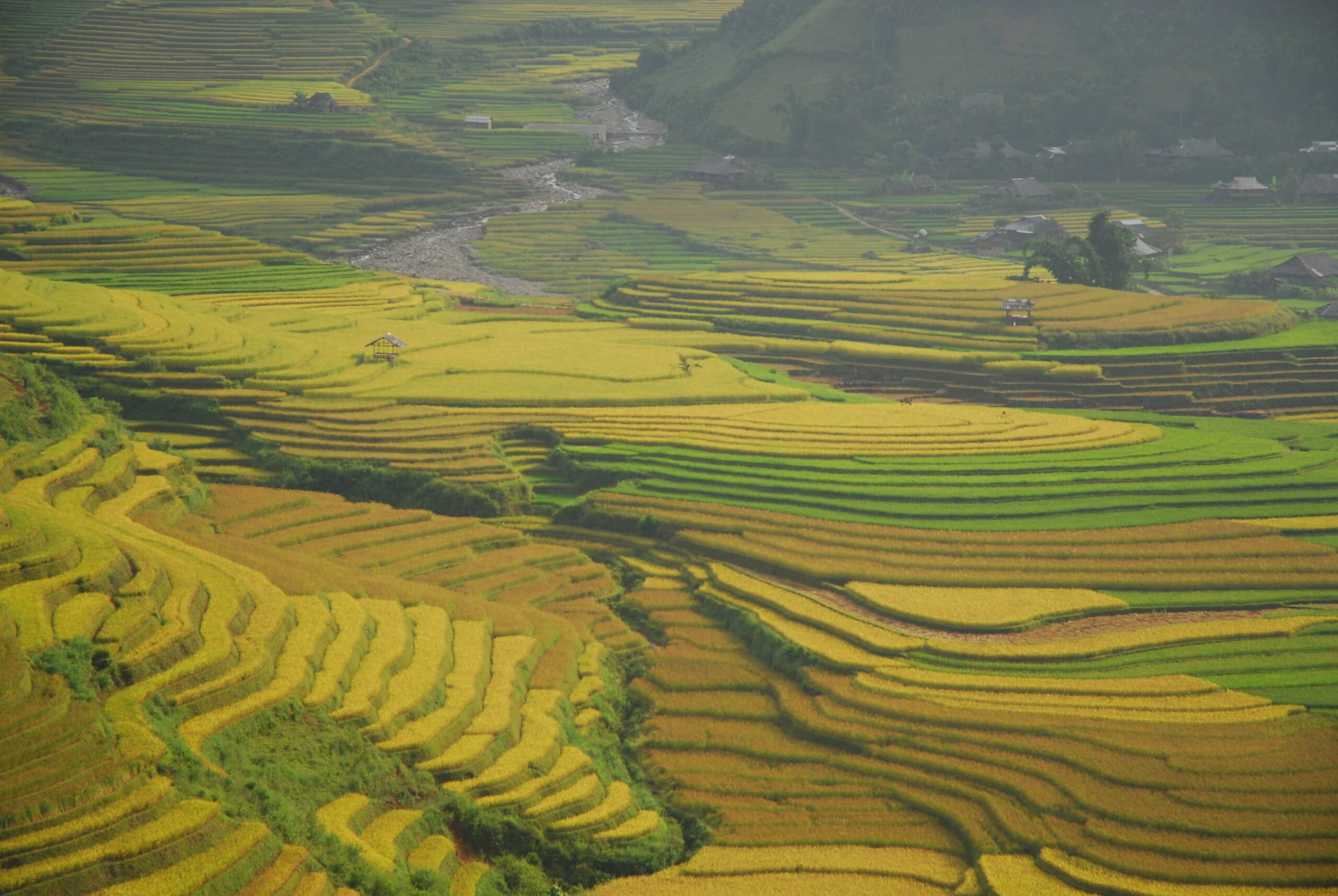 mu cang chai 6