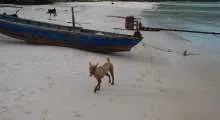 phu quoc island and beaches (9)