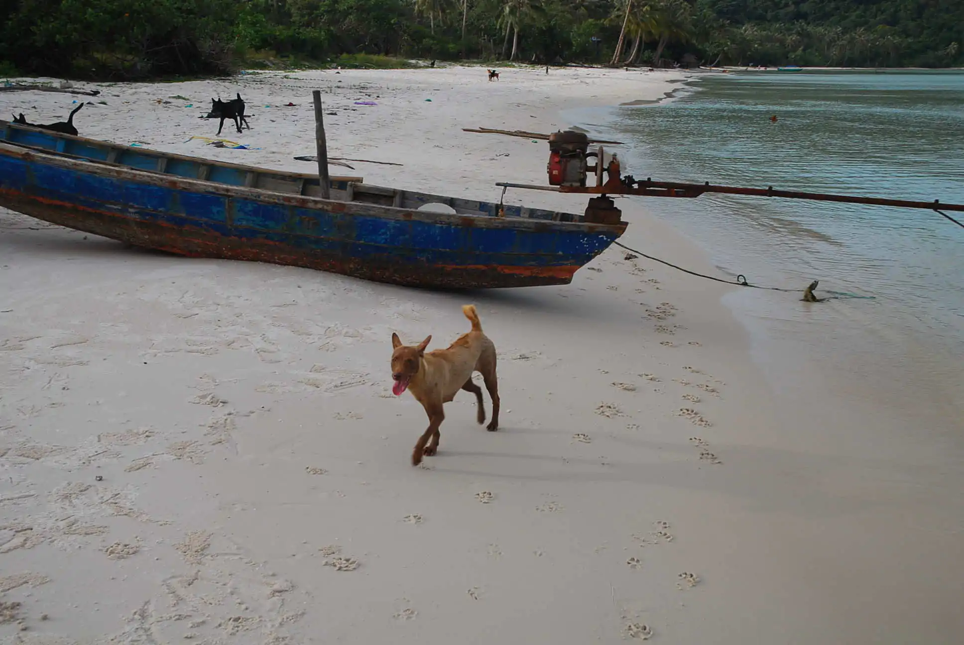 phu quoc island and beaches 9