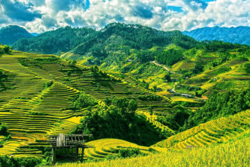 Sapa Remote Village Trek and Homestay