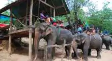 thailand-chiang mai (10)