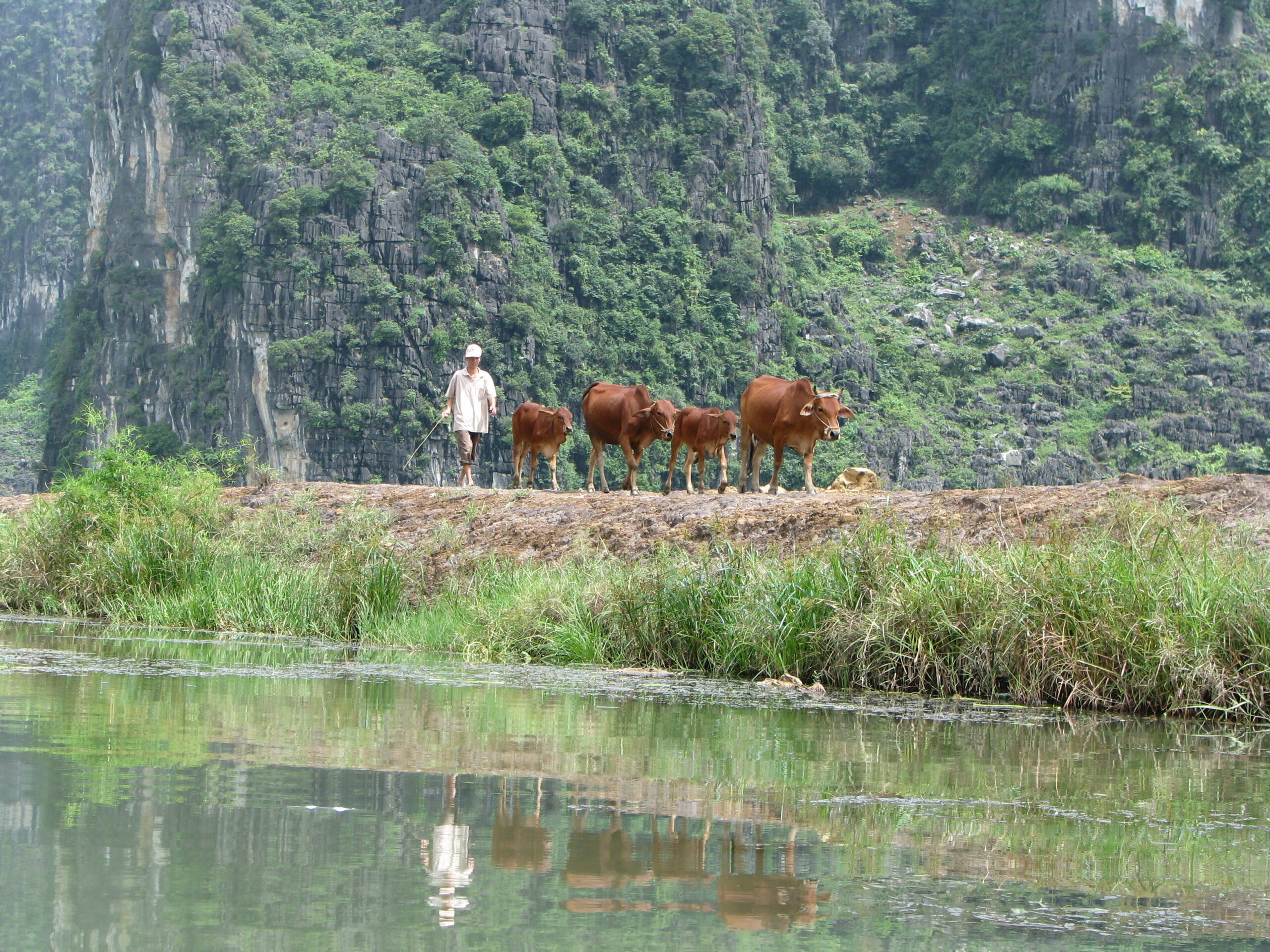 tour 6 day 11 tam coc1 2