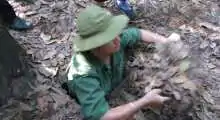 tour 6 day 4 - visit cu chi tunnels