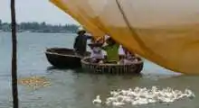 hoi an fishing