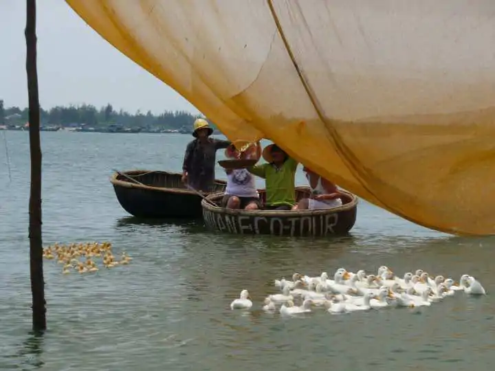 tour 6 day 6 hoi an eco tour2 2