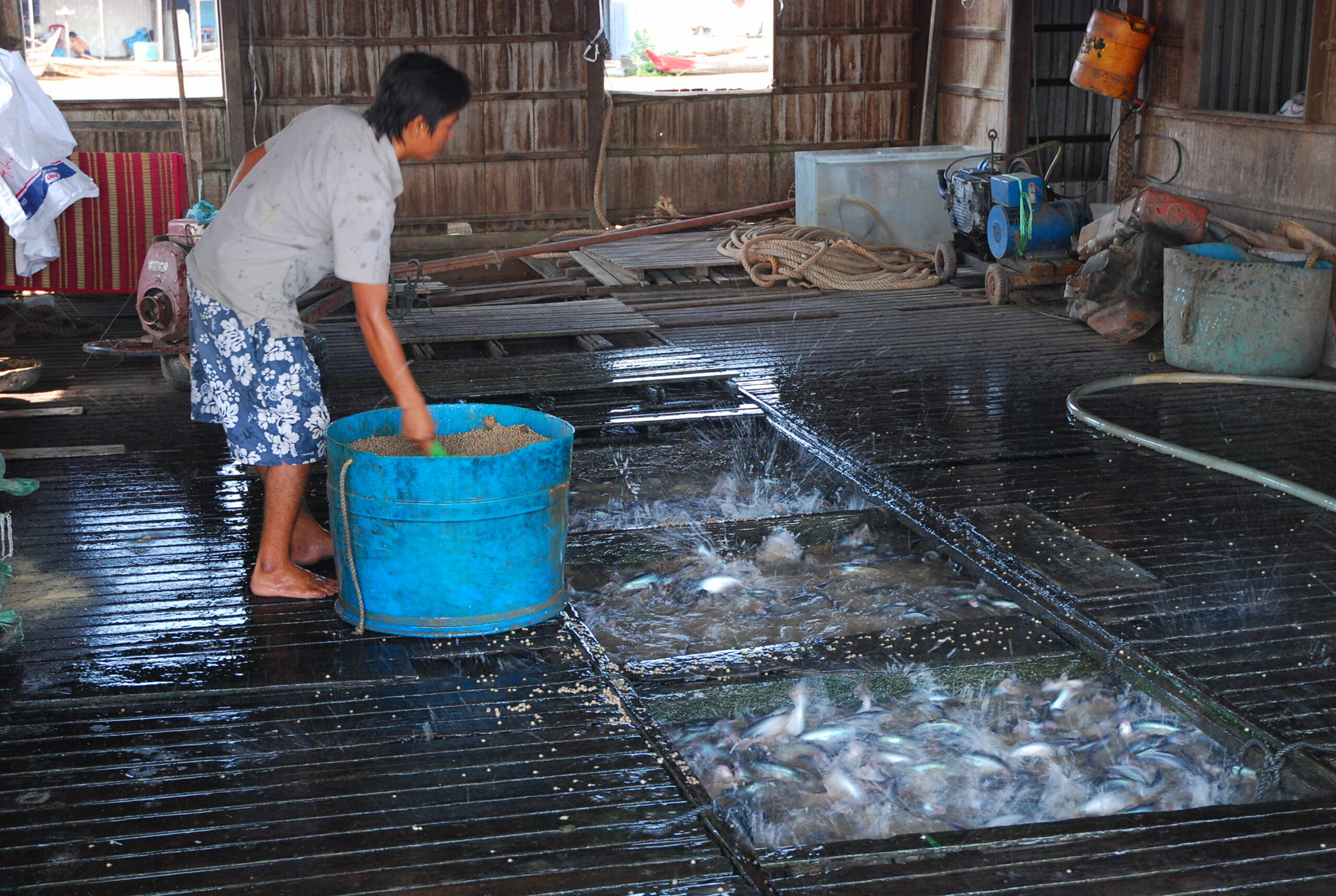 tour 7 day 11 chau doc 2