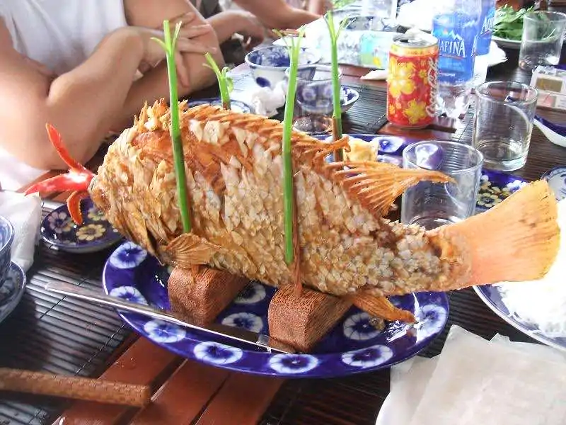 tour 9 day 4 elephant ear fish