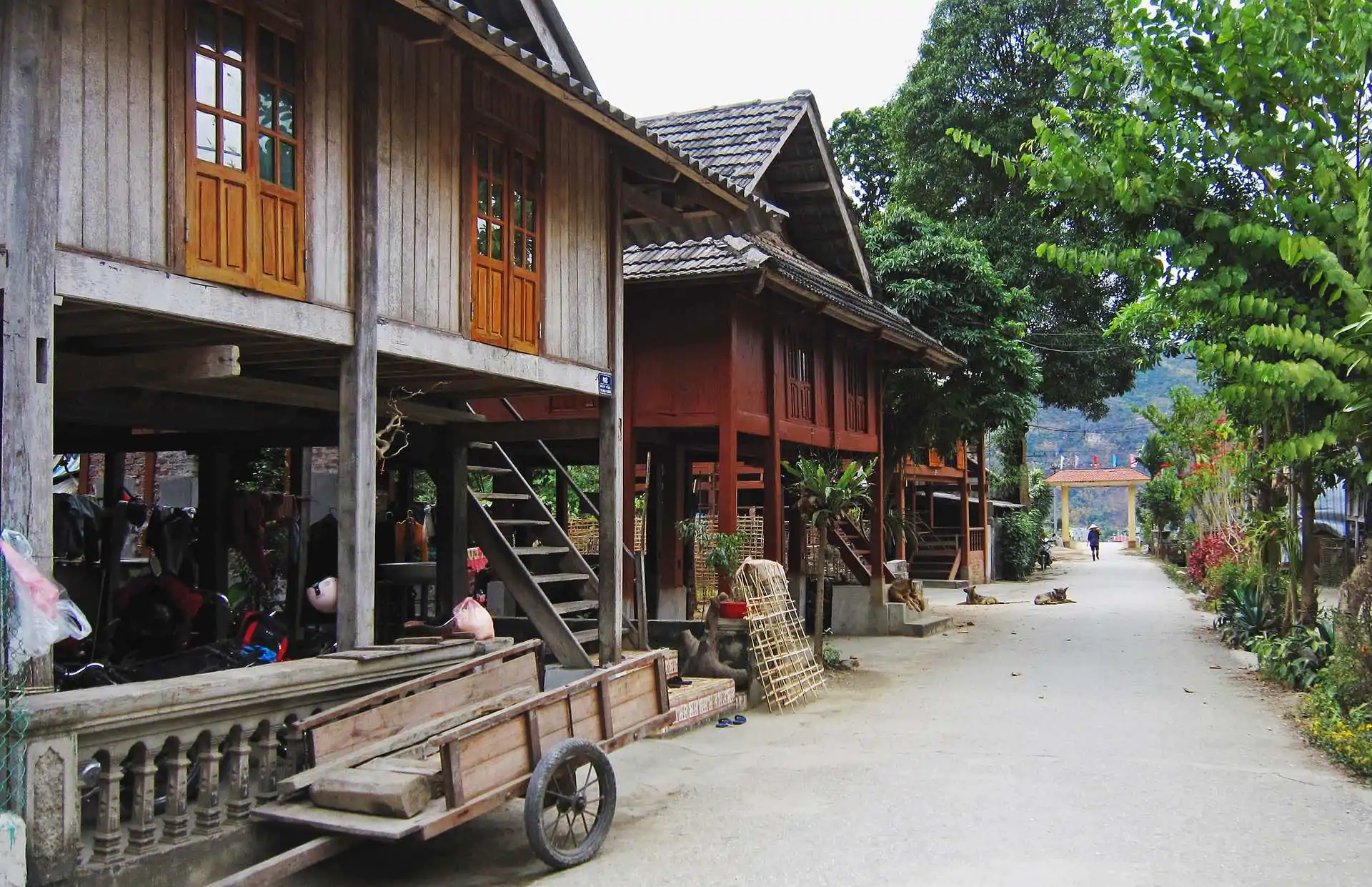 vietnam 2841267 1920