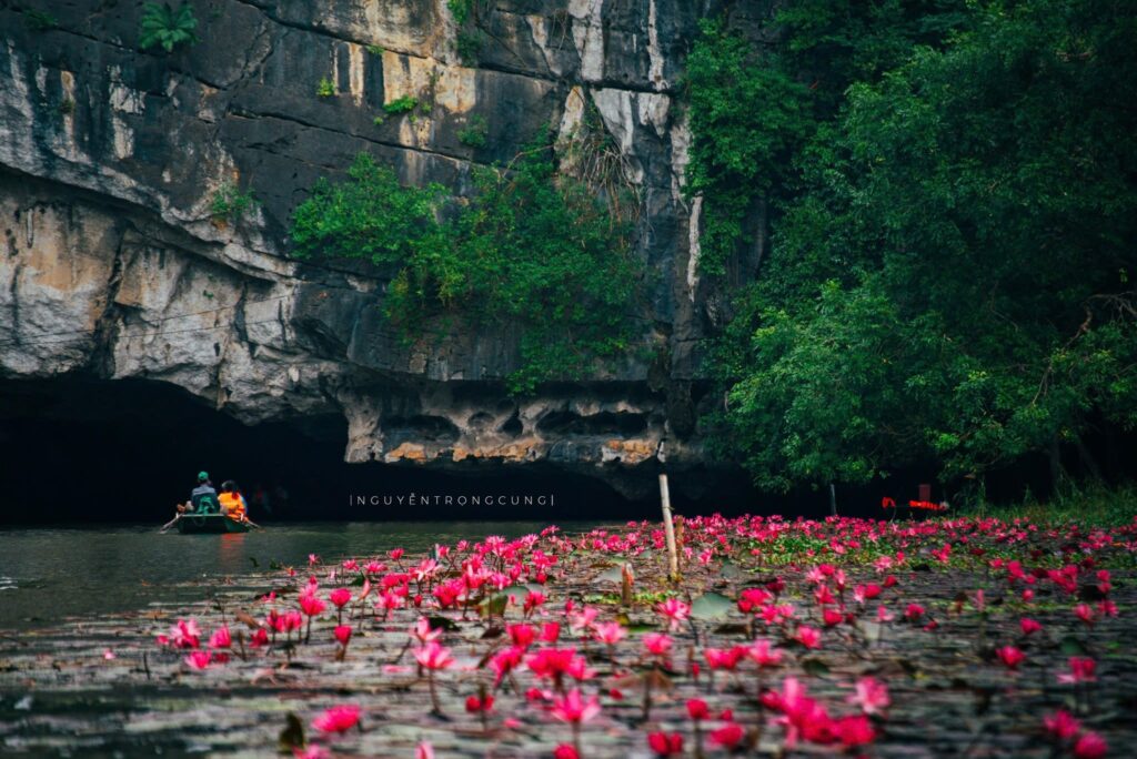 576211035 1368870404602385 6833098164036959391 n