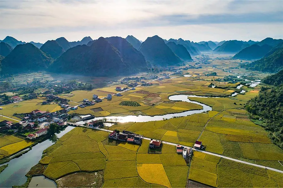 Rice Season Timing Bac Son