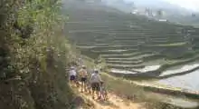 cycling (1)