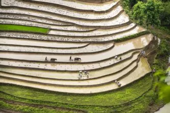 3 Week Vietnam Itinerary South to North (with Ha Giang Loop) from Hanoi/ Sapa