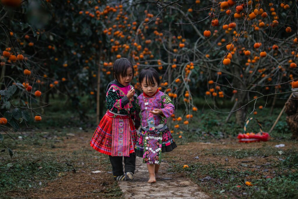 pexels truongbanreview 29537397