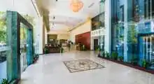 113645024