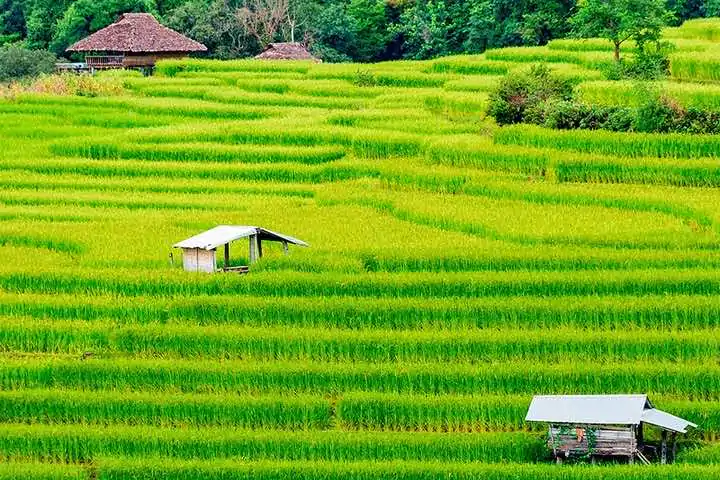 Monsoon season scenery