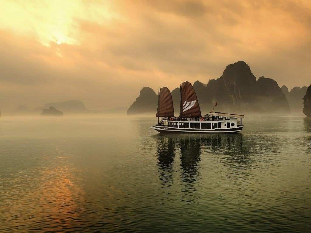 401102 14031223490018674804