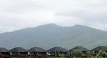 56983959
