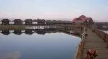 57823390