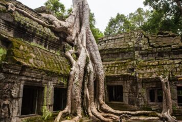 From Angkor Wat to Secluded Island