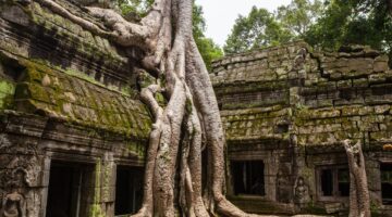 From Angkor Wat to Secluded Koh Rong Island