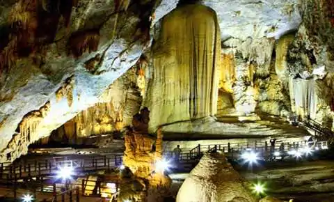 phongnha