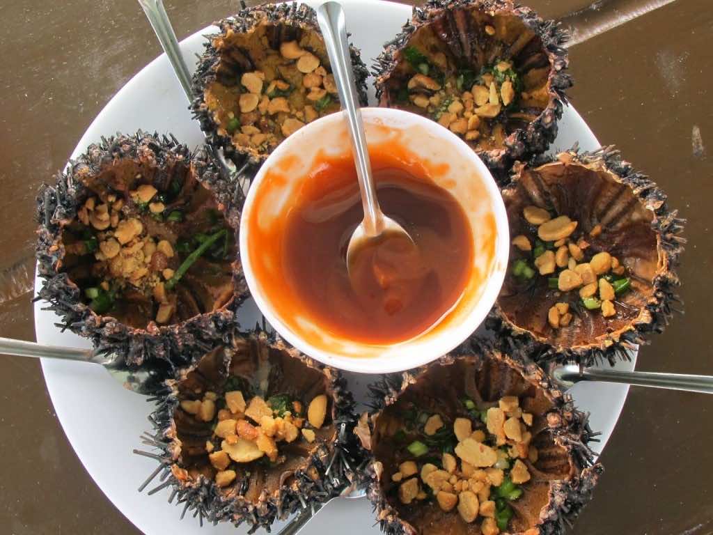 sea urchins
