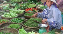 7-hoi-an-market-Visit