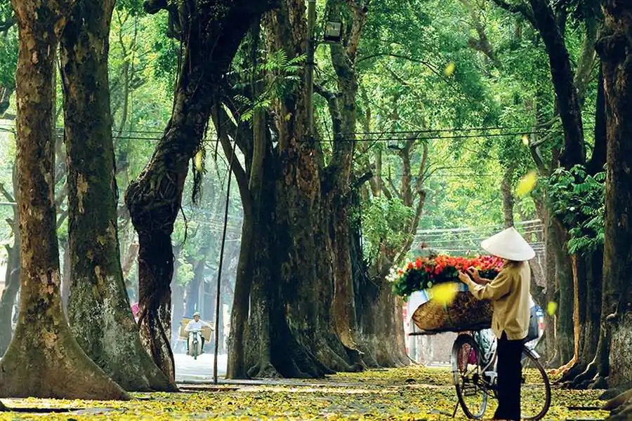 Hanoi in autumn