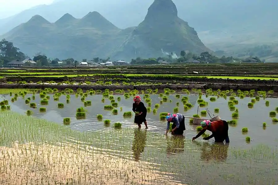 Mai Chau Pu Luong