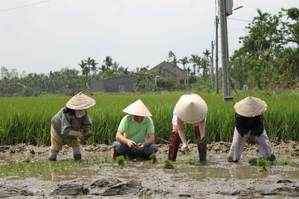 hoi an farming and fishing 7