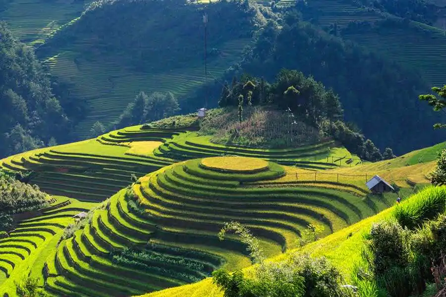 vietnam mu cang chai