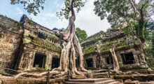 Ta Prohm