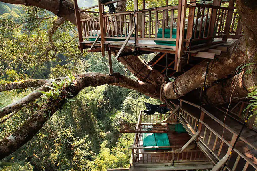 181213145041 treehouse architecture gibbon experience full 169
