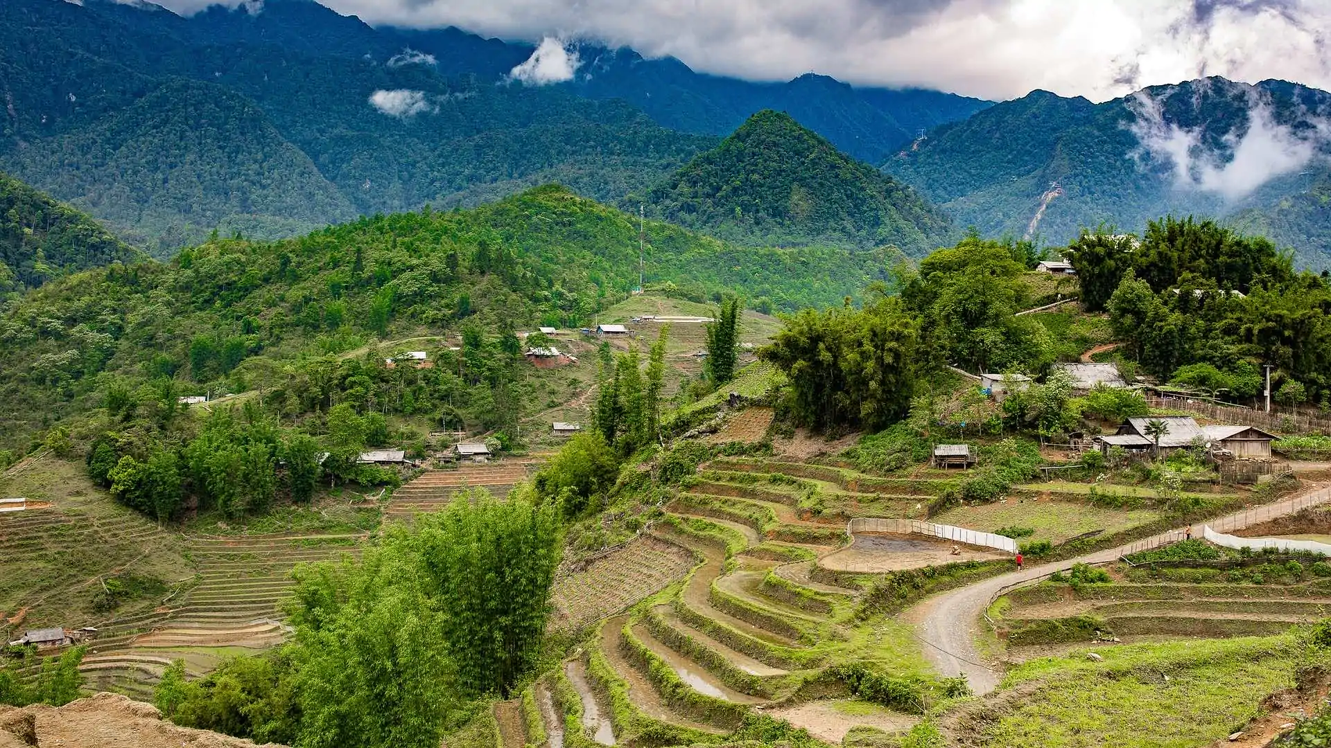 Image by Ngô Thanh Tùng from Pixabay