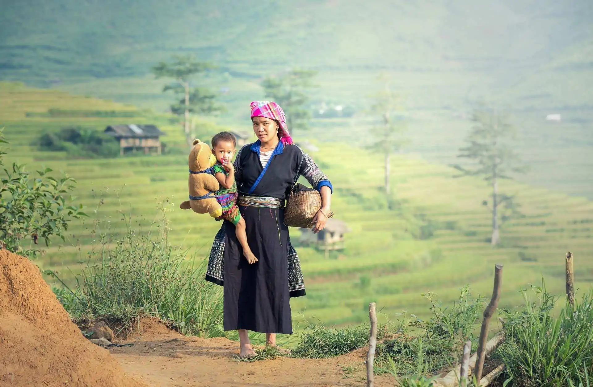 Image by Sasin Tipchai from Pixabay